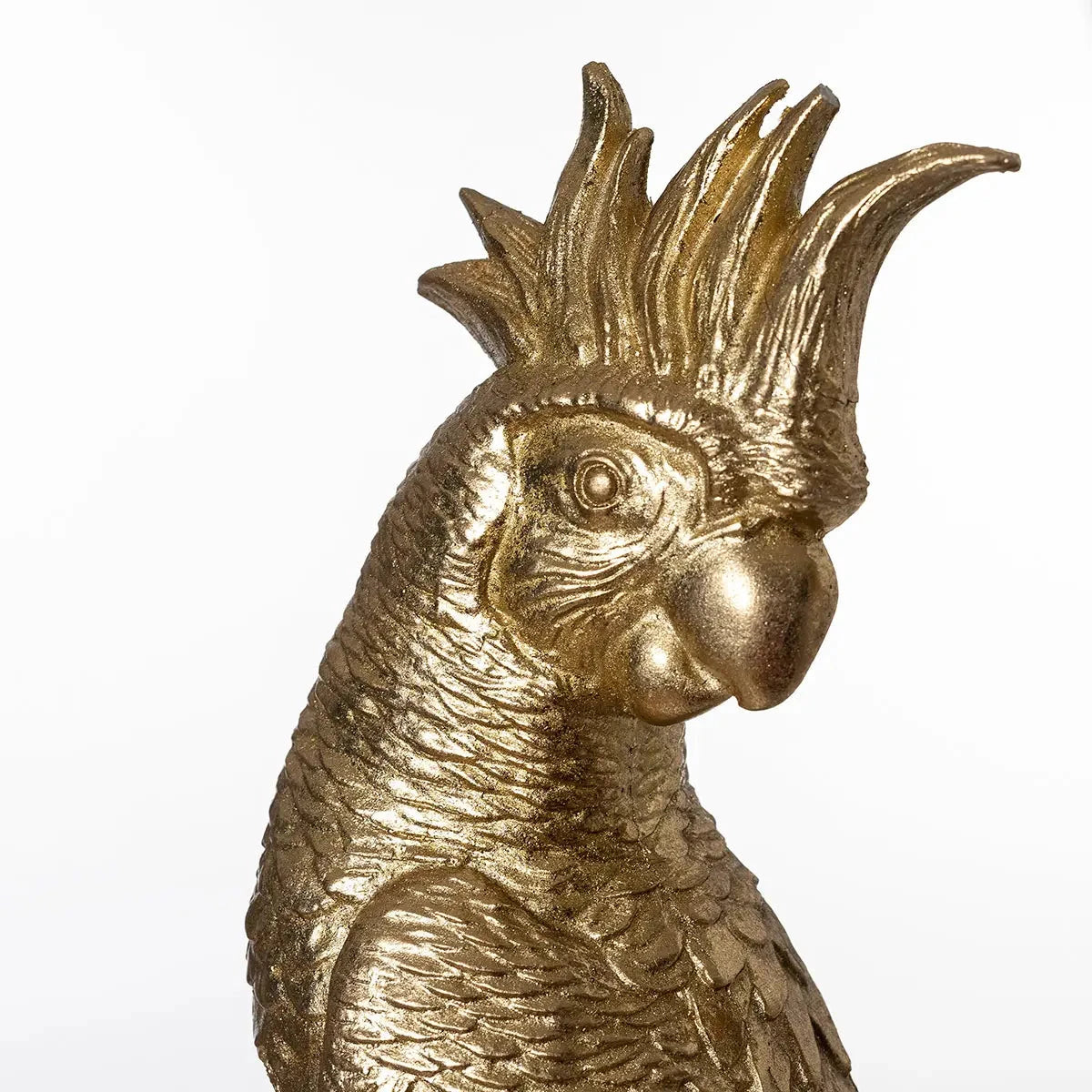 Goldener Harzpapagei mit schwarzem Sockel. 41 cm - Prime Möbel