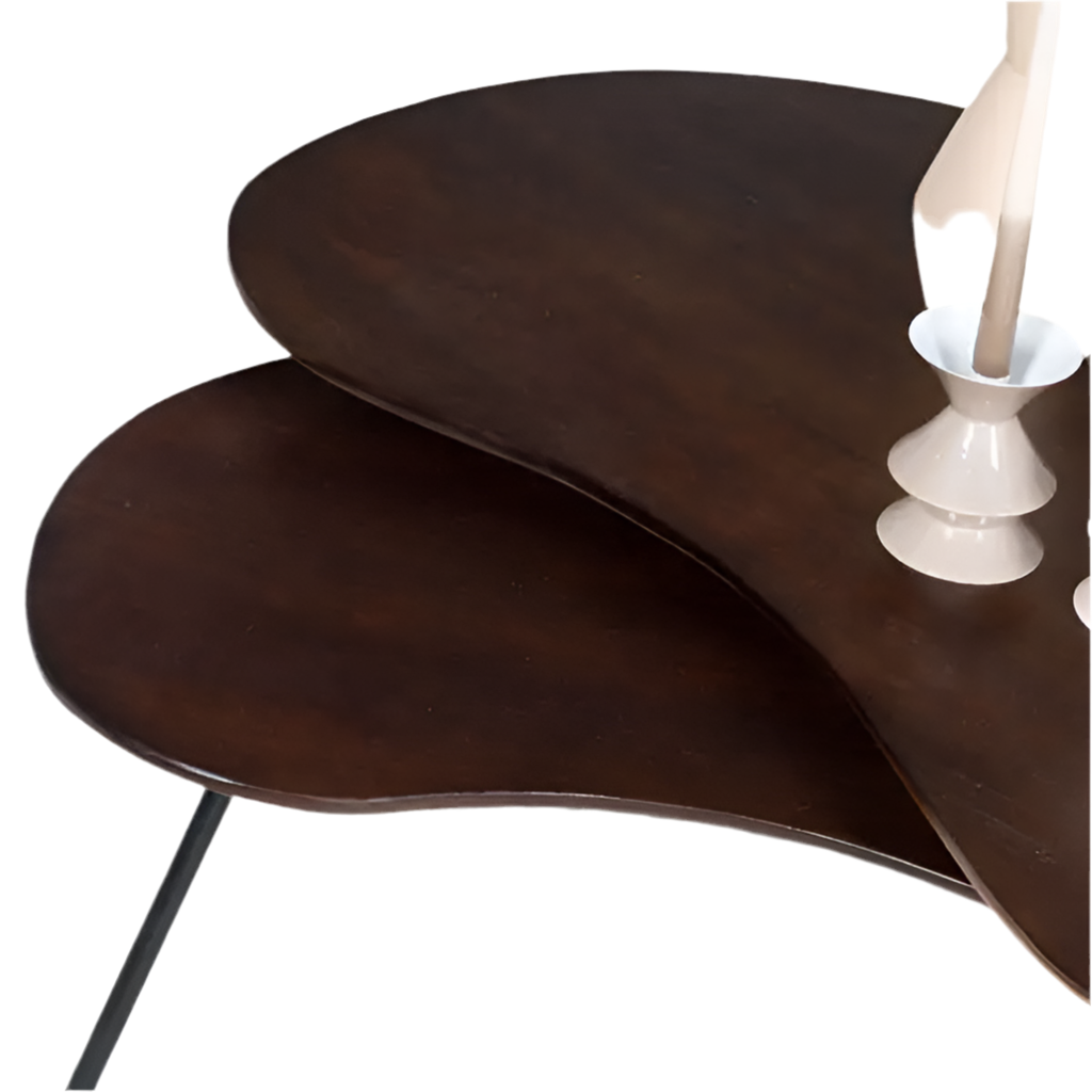 Ludo Brown Couchtisch - Bio - 2er Set - Prime Möbel