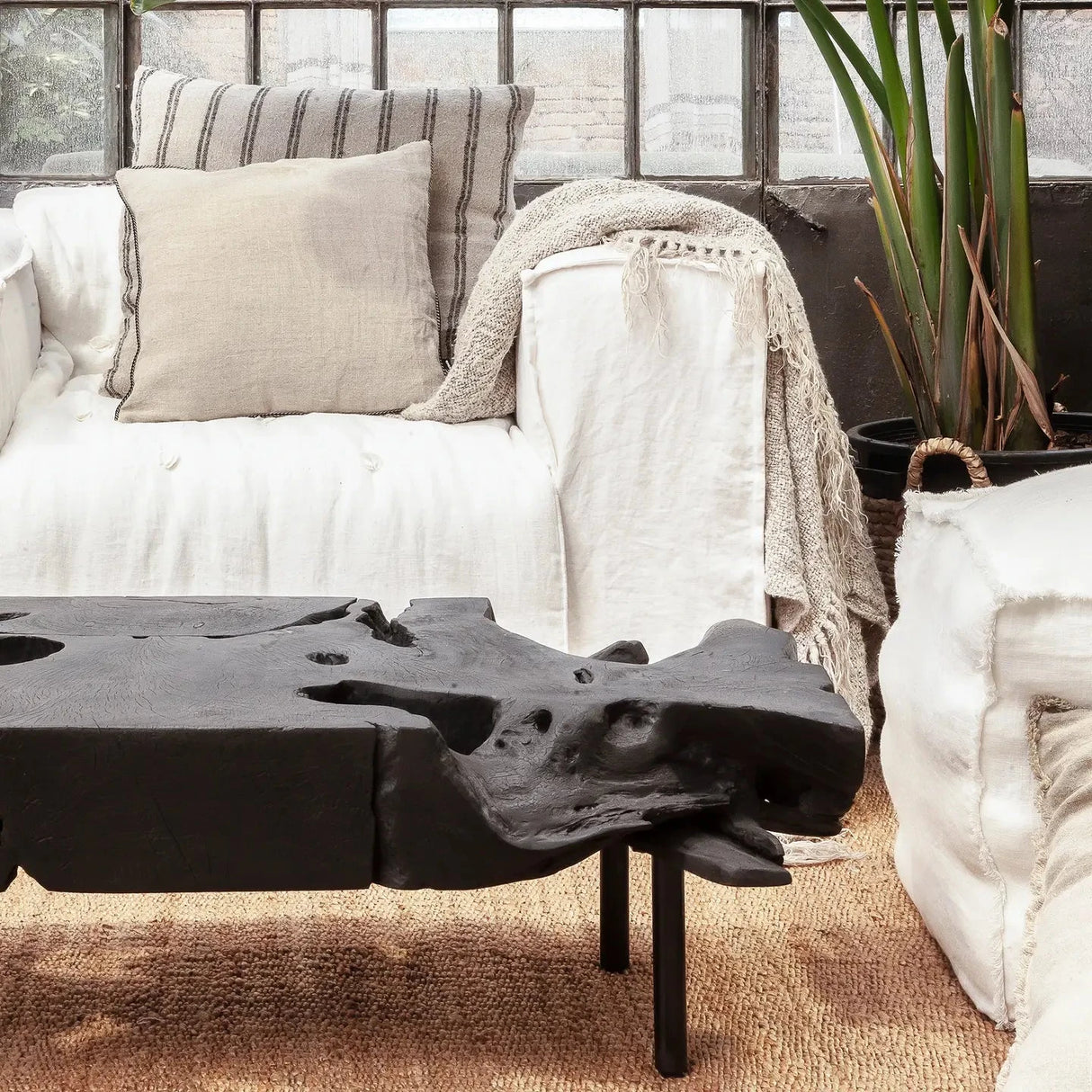 ROOT Couchtisch massiv - Prime Möbel