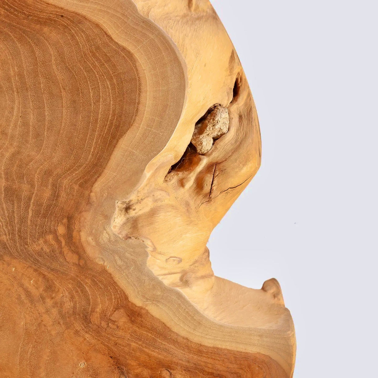 ROOT Couchtisch Teakwurzel - Prime Möbel