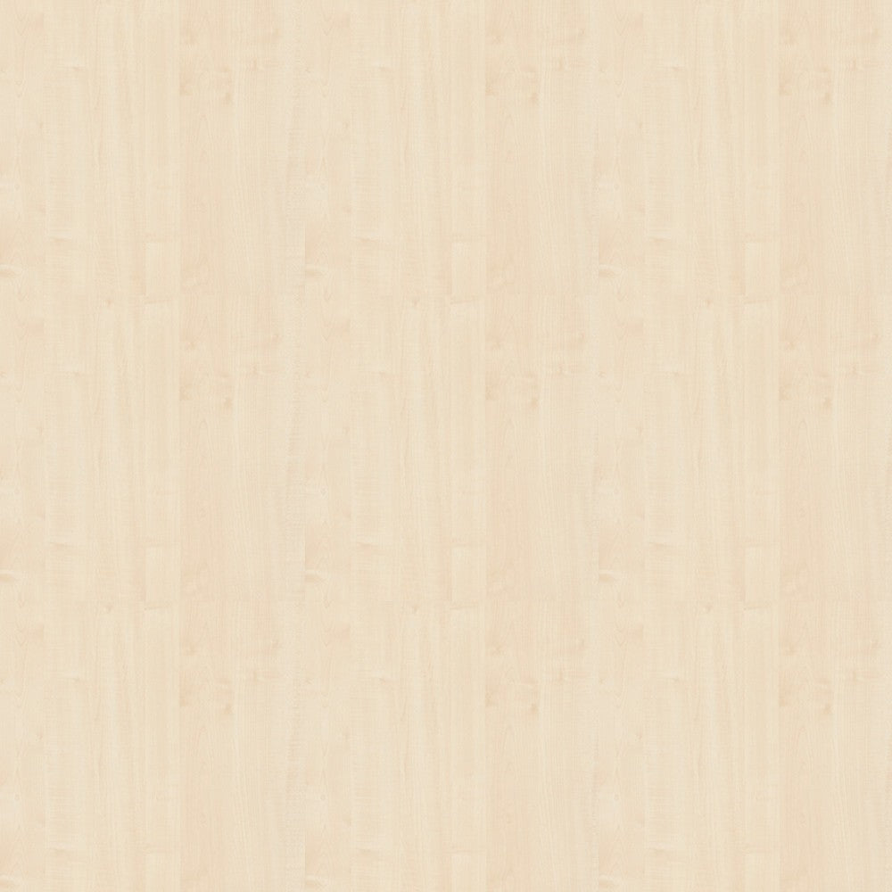 Büro-Schreibtisch Akzent, C-Fuss Gestell,Hx BxT 740 x 1.600 x 600 mm, ahorn - Prime Möbel