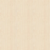 Büro-Schreibtisch Akzent, C-Fuss Gestell,Hx BxT 740 x 1.600 x 600 mm, ahorn - Prime Möbel