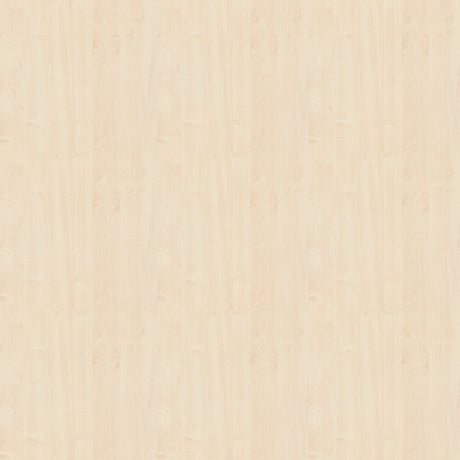 Büro-Schreibtisch Akzent, C-Fuss Gestell,Hx BxT 740 x 1.600 x 600 mm, ahorn - Prime Möbel